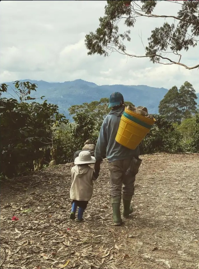 A farmer and child walking through the coffee farm in Villa Rica