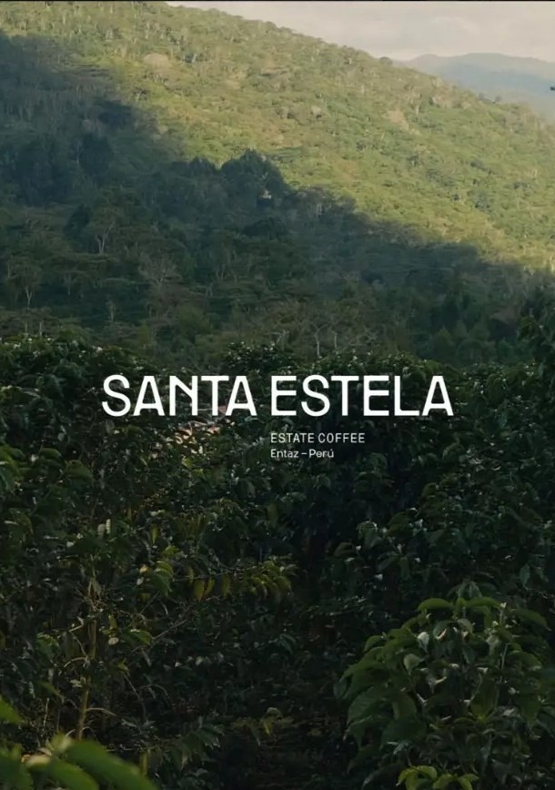 Coffee plantation hillside at Finca Santa Estela in Villa Rica, Peru